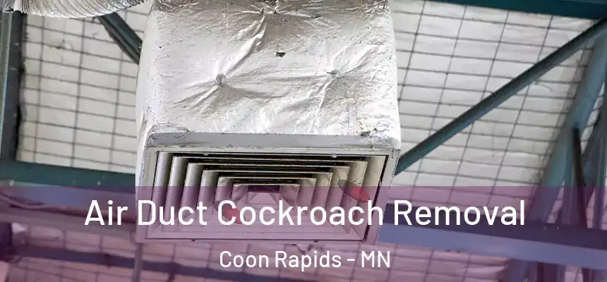  Air Duct Cockroach Removal Coon Rapids - MN
