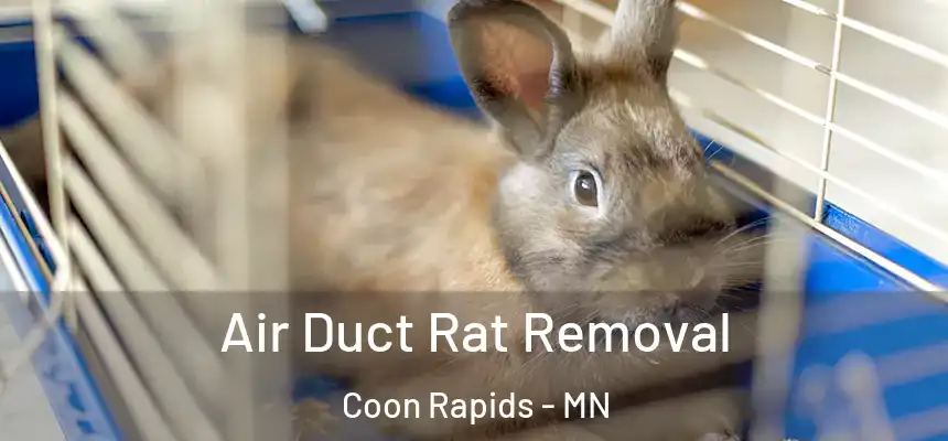  Air Duct Rat Removal Coon Rapids - MN