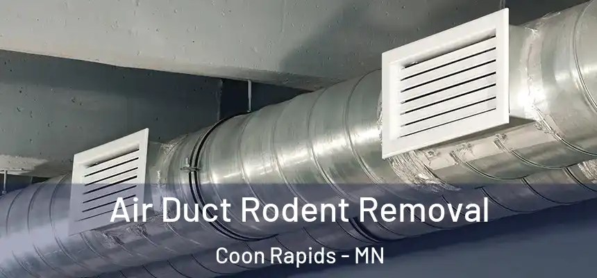 Air Duct Rodent Removal Coon Rapids - MN