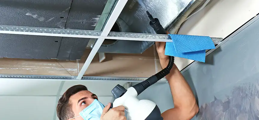 Our Air Duct Rodent Removal Services in Coon Rapids, MN