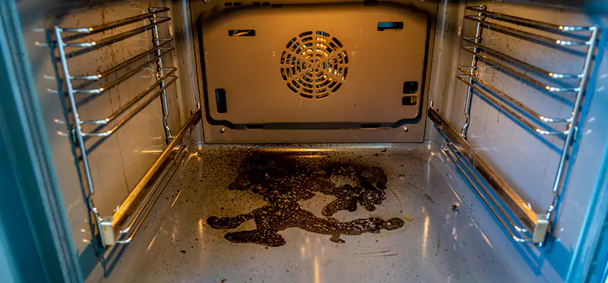 Our Dryer Vent Mold Cleaning Services in Coon Rapids, MN