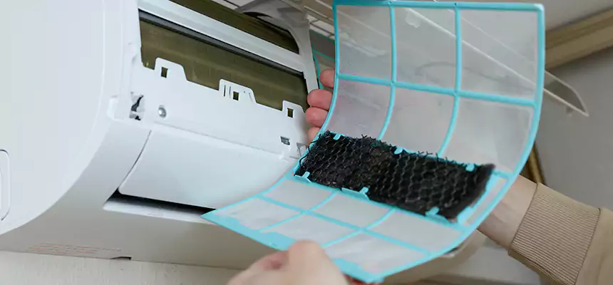 Gentle Ductwork Odor-Control Pet Dander Duct Cleaning in Coon Rapids, MN