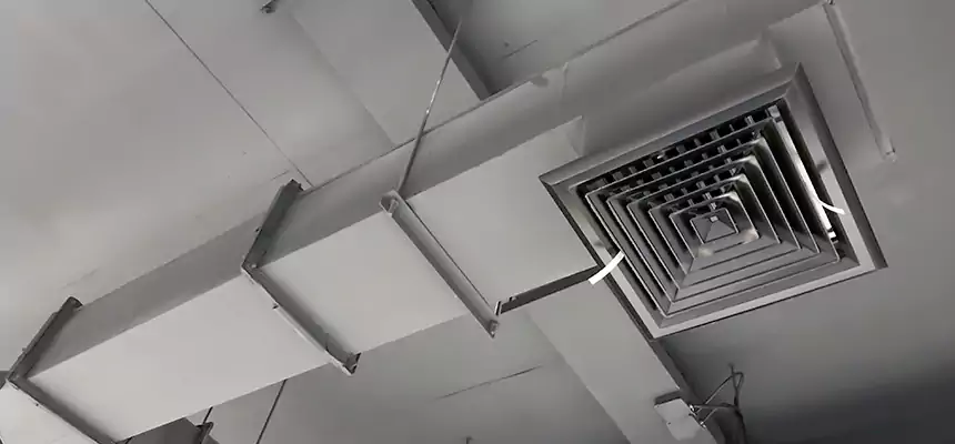 Our Rodent Droppings In Vents Services in Coon Rapids, MN