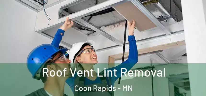  Roof Vent Lint Removal Coon Rapids - MN