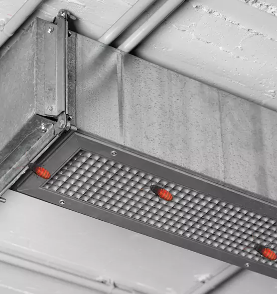 About Air Duct Cockroach Removal in Coon Rapids, MN