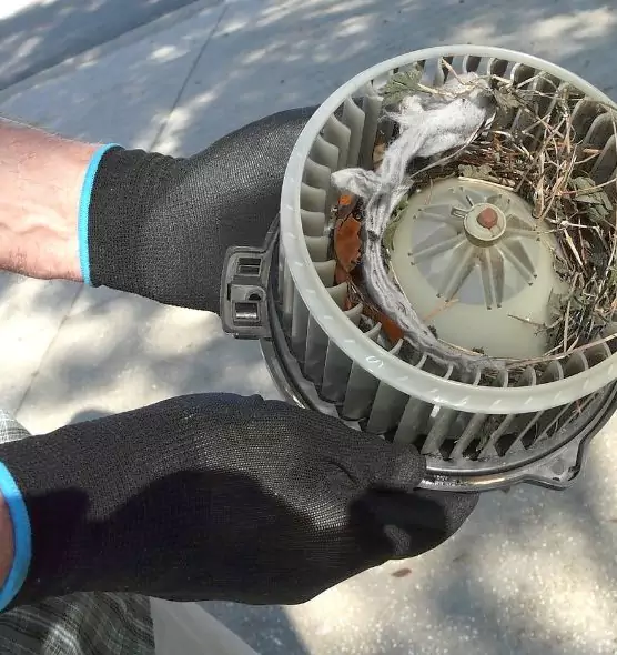 About Air Duct Rat Removal in Coon Rapids, MN