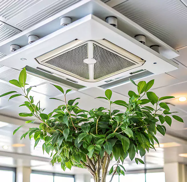 Why Homeowners & Businesses Trust Us in Coon Rapids, MN?