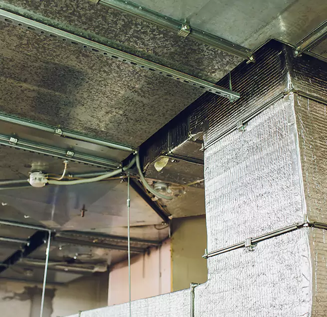 Why Homeowners & Businesses Trust Us in Coon Rapids, MN?